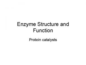 Types of enzymes
