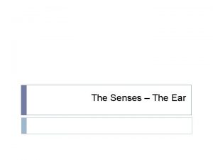 The Senses The Ear Ears https www youtube