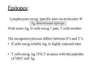 Epitopes Lymphocytes recog specific sites on molecules Ag