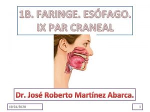 1 B FARINGE ESFAGO IX PAR CRANEAL Dr