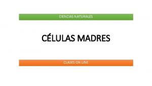 Definicion de las celulas