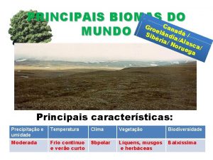 Principais biomas do mundo