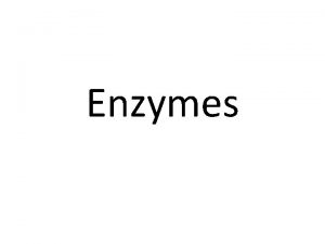 Enzymes Enzymes What are enzymes How are enzymes