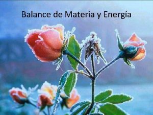 Balance de Materia y Energa Objetivos Establecer las