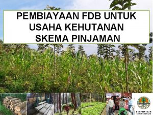 PEMBIAYAAN FDB UNTUK USAHA KEHUTANAN SKEMA PINJAMAN BLU