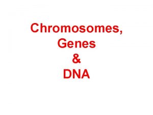 Chromosomes Genes DNA Chromosomes Genes DNA http en