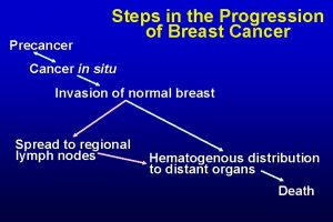 Precancer Steps in the Progression of Breast Cancer