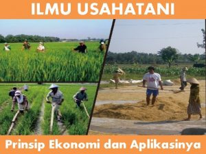 ILMU USAHATANI Prinsip Ekonomi dan Aplikasinya Keputusan usahatani