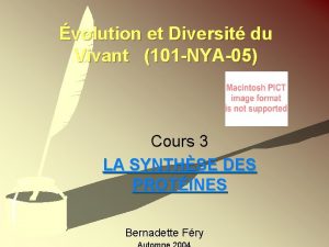 volution et Diversit du Vivant 101 NYA05 Cours