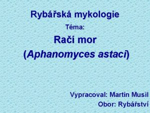 Rybsk mykologie Tma Ra mor Aphanomyces astaci Vypracoval