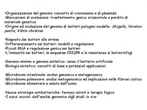 Organizzazione del genoma concetto di cromosoma e di