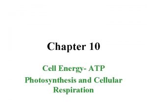 Hydrolysis of atp