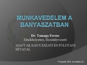 MUNKAVDELEM A BNYSZATBAN Dr Tamaga Ferenc Elnkhelyettes fosztlyvezet