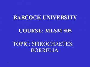 BABCOCK UNIVERSITY COURSE MLSM 505 TOPIC SPIROCHAETES BORRELIA