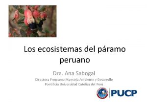 Los ecosistemas del pramo peruano Dra Ana Sabogal