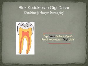 Dentin sklerotik