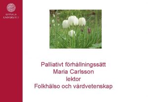 Palliativt frhllningsstt Maria Carlsson lektor Folkhlso och vrdvetenskap