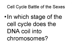 Cell Cycle Battle of the Sexes In which