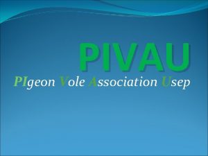 Pivau Pivau