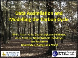 Data Assimilation and Modelling the Carbon Cycle Philip