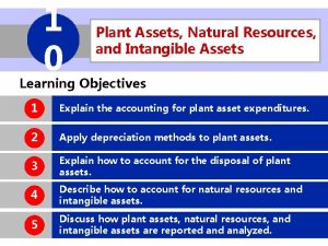 1 0 Plant Assets Natural Resources and Intangible