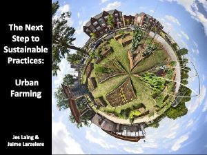 The Next Step to Sustainable Practices Urban Farming
