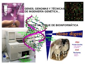 Que es el genoma humano Que es el genoma humano