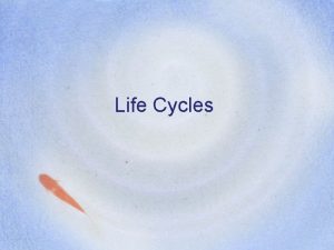 Simple life cycle of a grasshopper Simple life cycle of a grasshopper