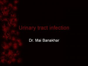 Urinary tract infection Dr Mai Banakhar UTI inflammatory
