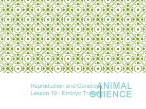 Reproduction and Genetics ANIMAL Lesson 19 Embryo Transfer