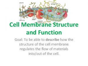 Characteristics of cell membrane