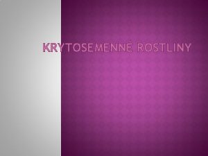 KRYTOSEMENN ROSTLINY KRYTOSEMENN ROSTLINY Maj semena ukryt v