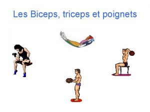 Longue portion du biceps Longue portion du biceps