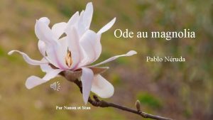Ode au magnolia Pablo Nruda Par Nanou et