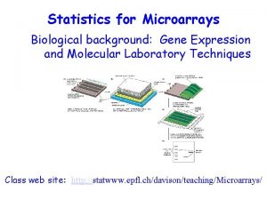 Statistics for Microarrays Biological background Gene Expression and