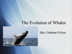 The Evolution of Whales Jake GrahamFelsen Evidence of