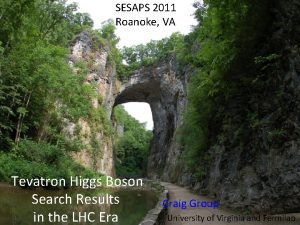 SESAPS 2011 Roanoke VA Tevatron Higgs Boson Search
