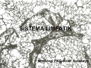 SISTEMA LIMFATIK Histologi FKG Unair Surabaya SISTEMA LIMFATIK