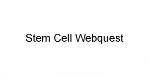Stem cells webquest