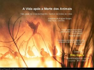 A Vida aps a Morte dos Animais Nas