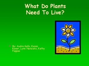 What Do Plants Need To Live By Audra