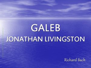 Richard bach galeb jonathan livingston