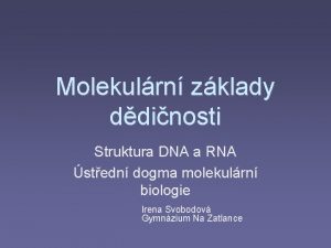 Molekulrn zklady ddinosti Struktura DNA a RNA stedn