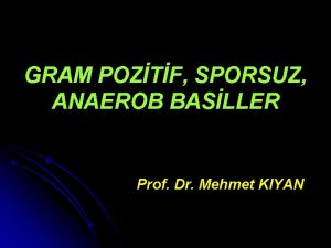 GRAM POZTF SPORSUZ ANAEROB BASLLER Prof Dr Mehmet