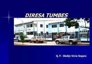 DIRESA TUMBES Q F Gladys Urcia Segura ORGANIGRAMA