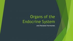 Organs of the Endocrine System and Related Hormones
