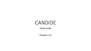 Candide chapter 20 summary