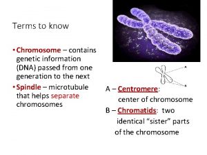 Terms to know Chromosome contains genetic information DNA