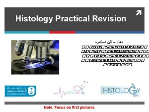 Perichondrium Perichondrium