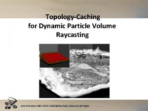 TopologyCaching for Dynamic Particle Volume Raycasting Jens Orthmann